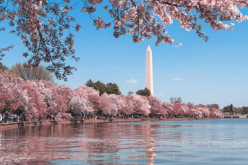 The National Mall is the symbolic heart of American democracy. 1