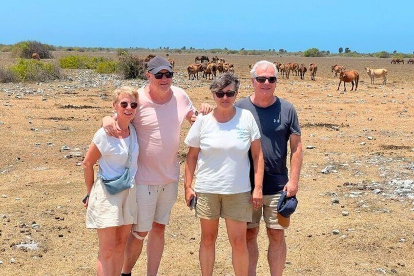 Full Day Tour Delft and Nainativu Island Adventure from Jaffna 4