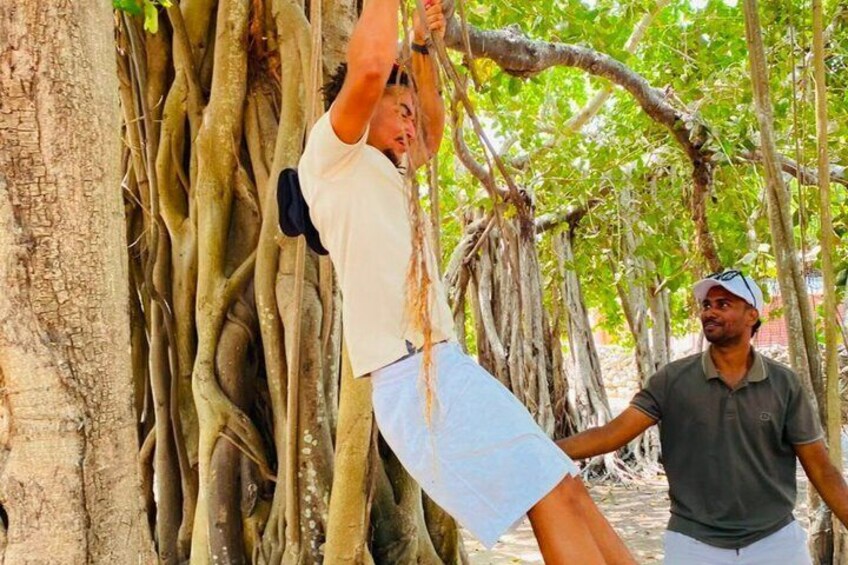 Full Day Tour Delft and Nainativu Island Adventure from Jaffna 2