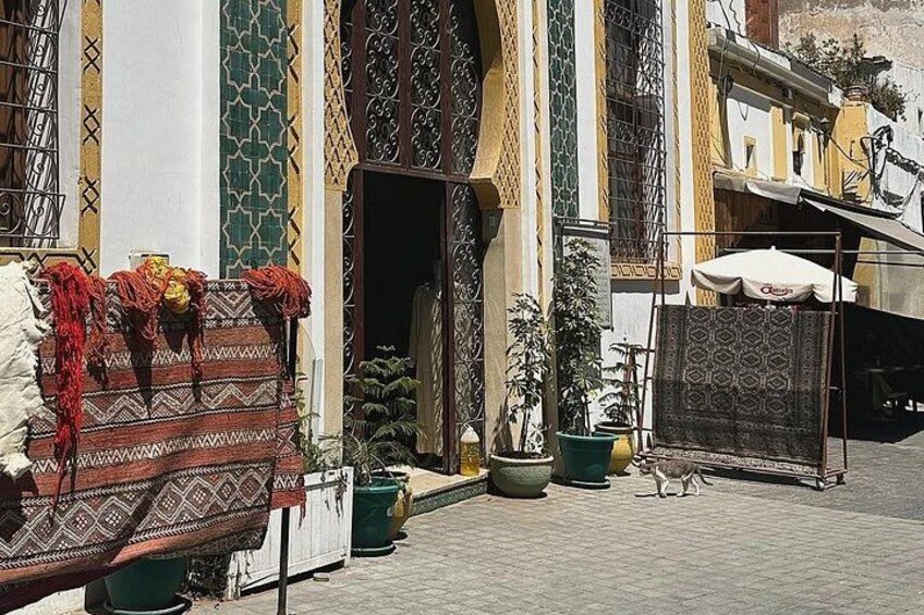 Un patio con un tapete estampado, plantas en macetas y una reja de metal. 4