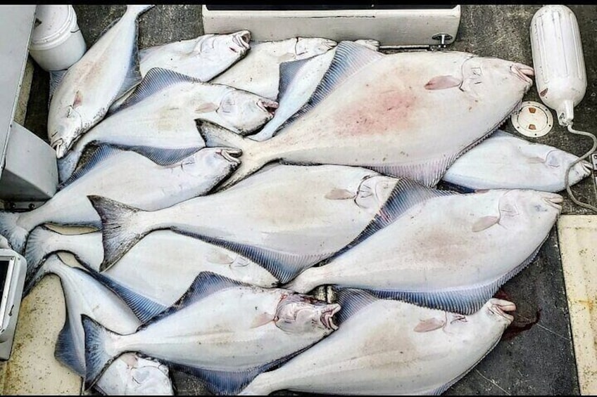 Private Fishing Adventure in Icy Strait Hoonah Alaska 2