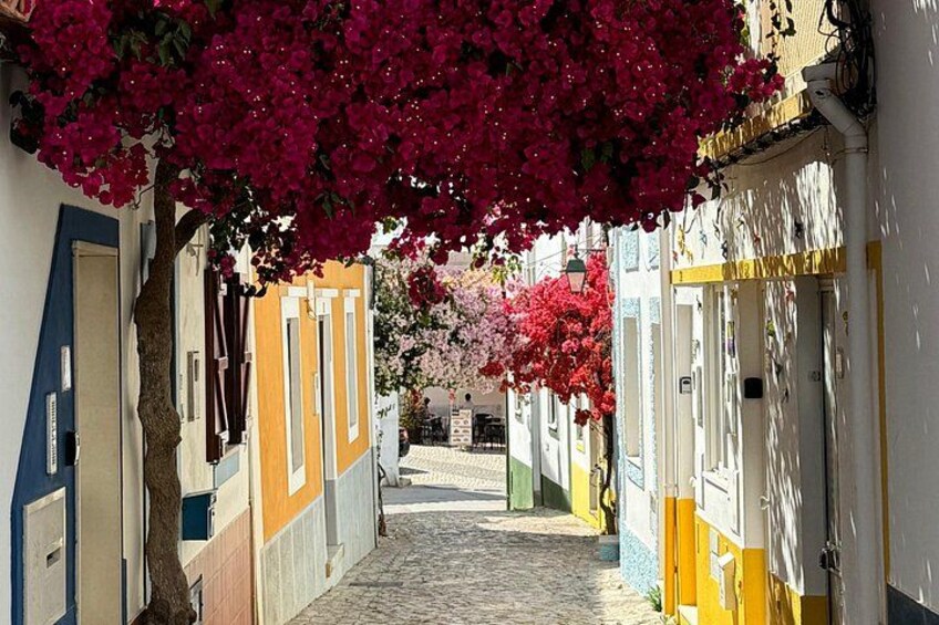 A narrow cobblestone street lined with colorful buildings, a tree with pink flowers, and a clear blue sky. 1