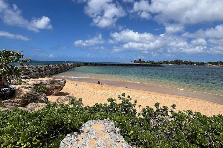 Guided E-Bike Tour in North Shore 4