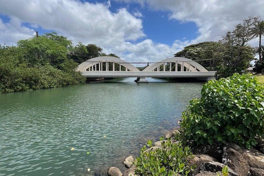 Guided E-Bike Tour in North Shore 5