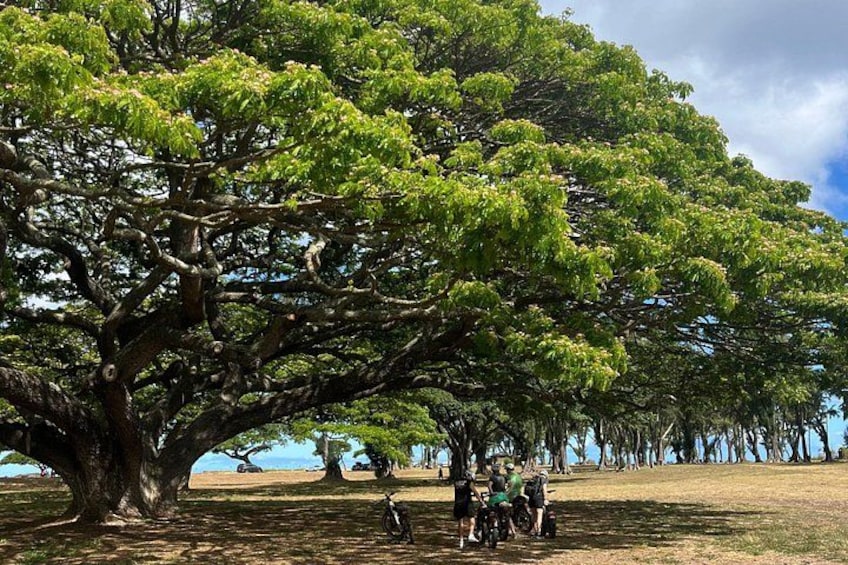Guided E-Bike Tour in North Shore 3