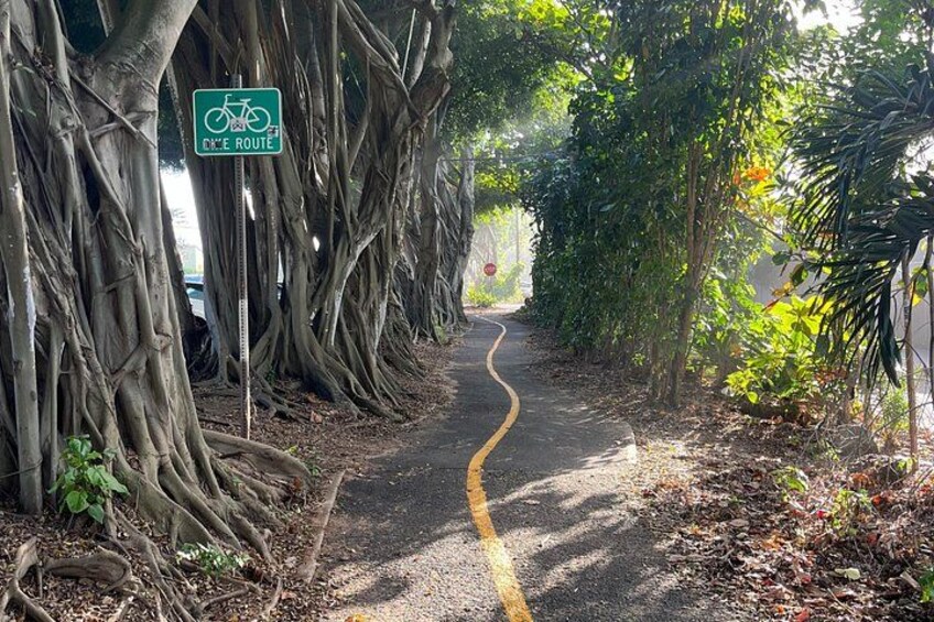 Guided E-Bike Tour in North Shore 4