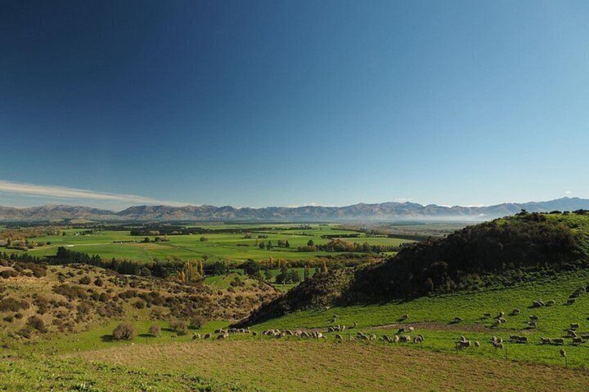 Un champ verdoyant où paissent des moutons, des collines ondoyantes et, au loin, des montagnes sous un ciel dégagé. 2