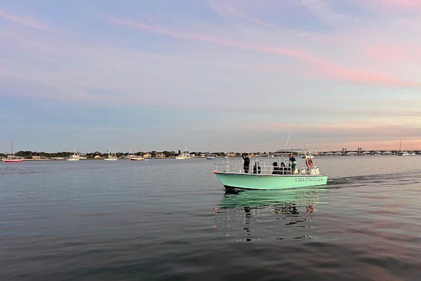 A green boat moving on calm water with a clear sky and distant shoreline. 5