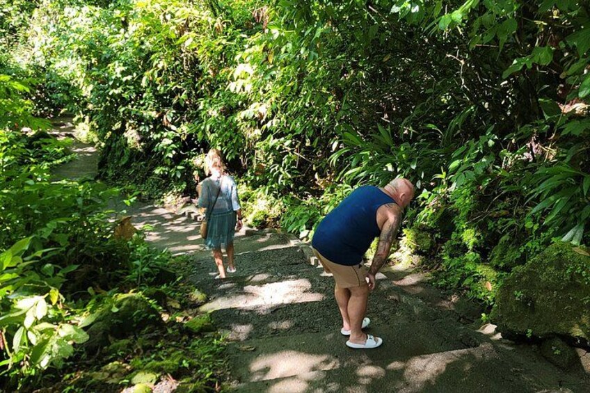 Two people walking on a forest path surrounded by dense greenery. 2