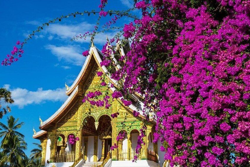 Et tempel med udsøgt arkitektur og levende lyserøde blomster. 1