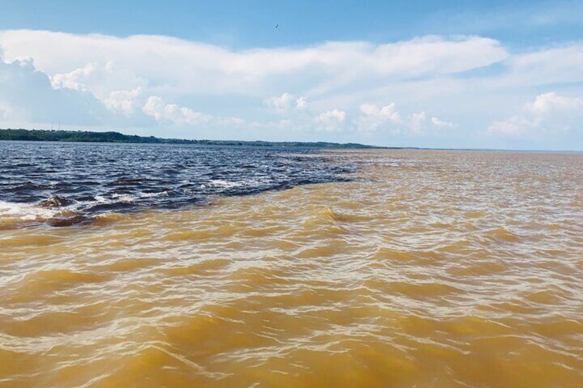 3 Day Amazon Jungle Adventure Wildlife Culture and Pink Dolphins 4