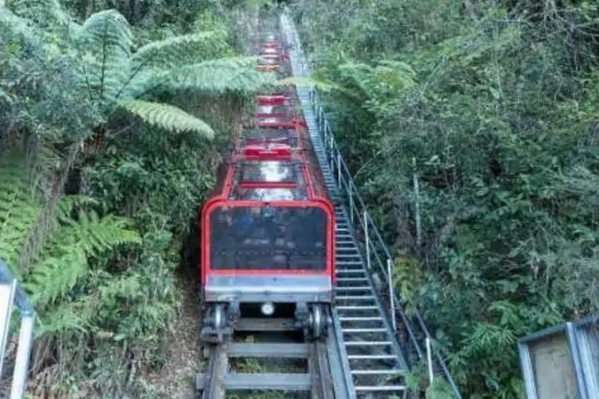 Scenic Railway 1
