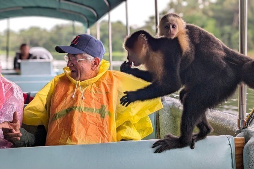 A monkey standing on a boat's edge, a person in a yellow raincoat, and a person in a blue cap. 1