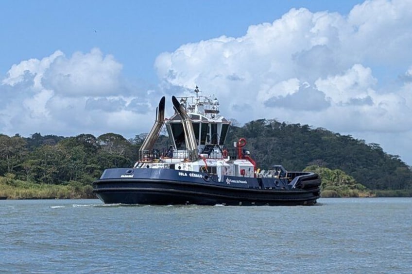 Panama Canal Boat Tour to Monkey Islands 2