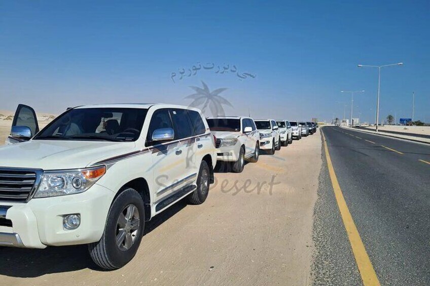 A row of white SUVs parked on a desert road with palm trees in the background. 4
