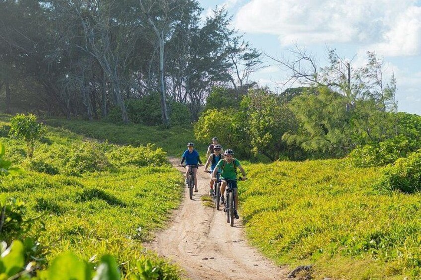 Un groupe de cyclistes sur un sentier de terre, entouré d’une végétation luxuriante. 2