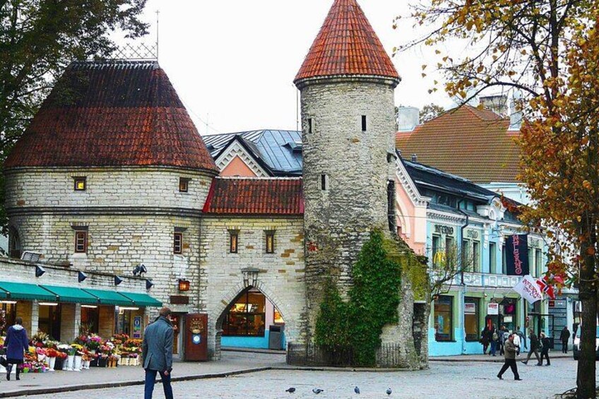 Tallinn A Private Walking Tour With Local Guide 3