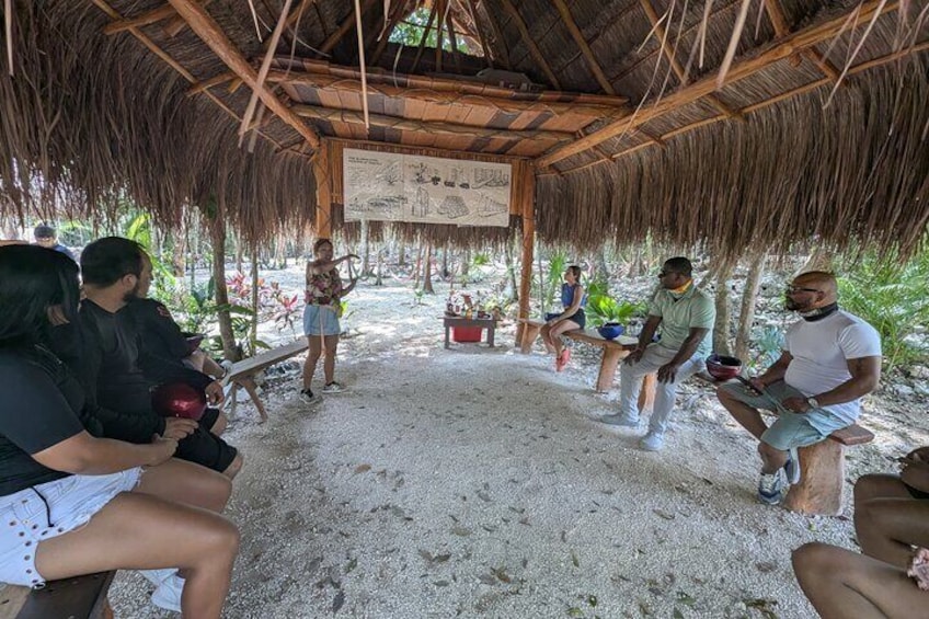 Half-Day Jungle Adventure ATVs, Ziplines and Cenote Swim 2