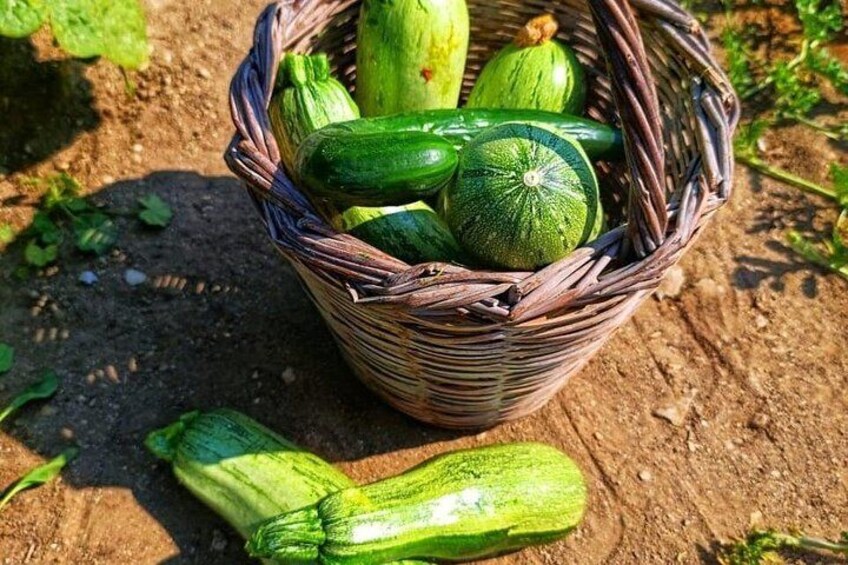 Cooking Class Sunset Dinner and Tour in Paros Farm 2
