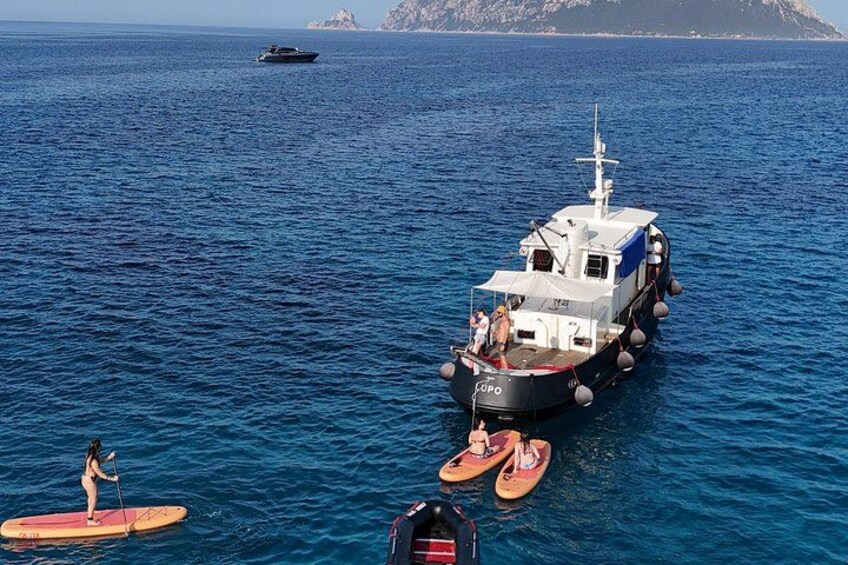 Golfo Aranci private tour 3h: dolphins, aperitif and historic yacht 3