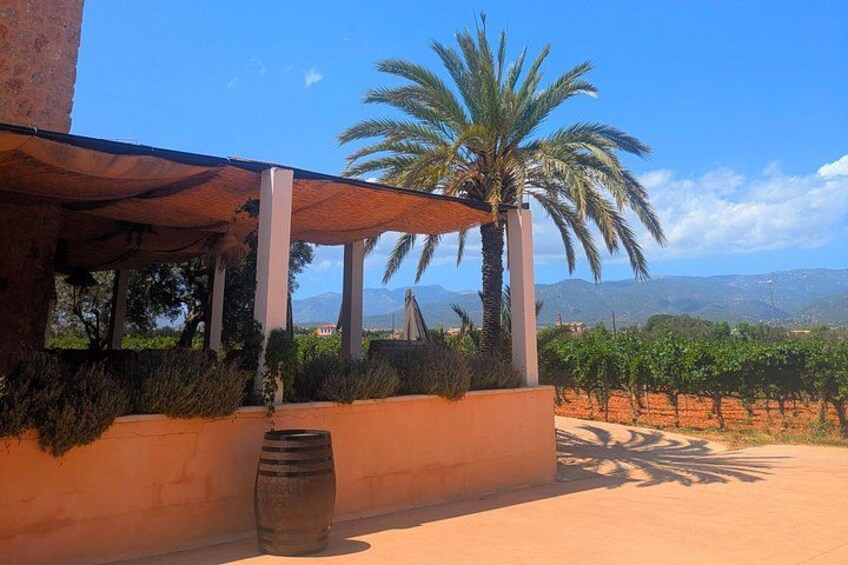 Mallorca Wine Tour Taste Local Wines in Santa Maria 4