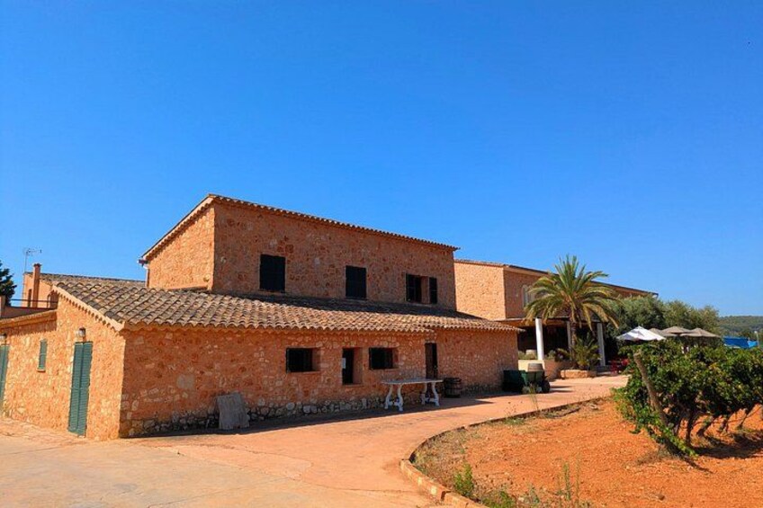 Mallorca Wine Tour Taste Local Wines in Santa Maria 3