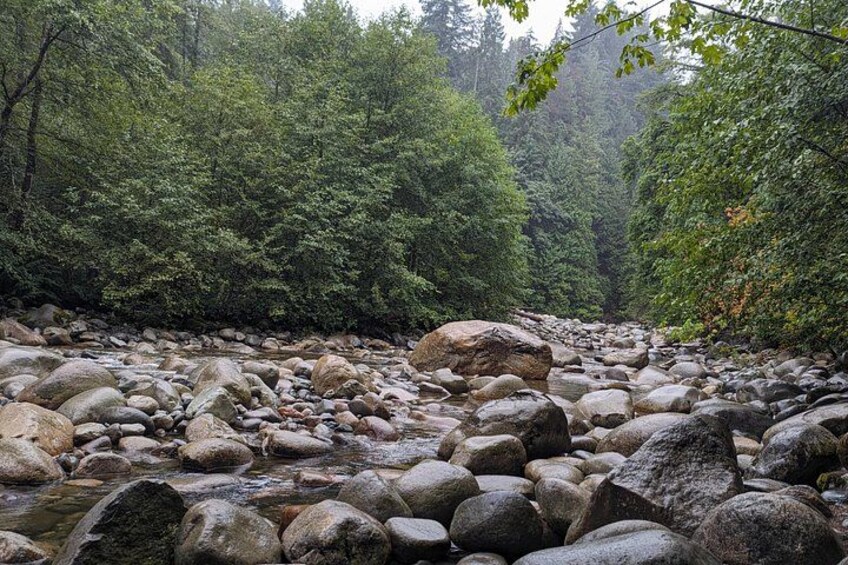 Private Capilano Bridge+Granville Islan+Hatchery+Lynn Canyon Tour 3