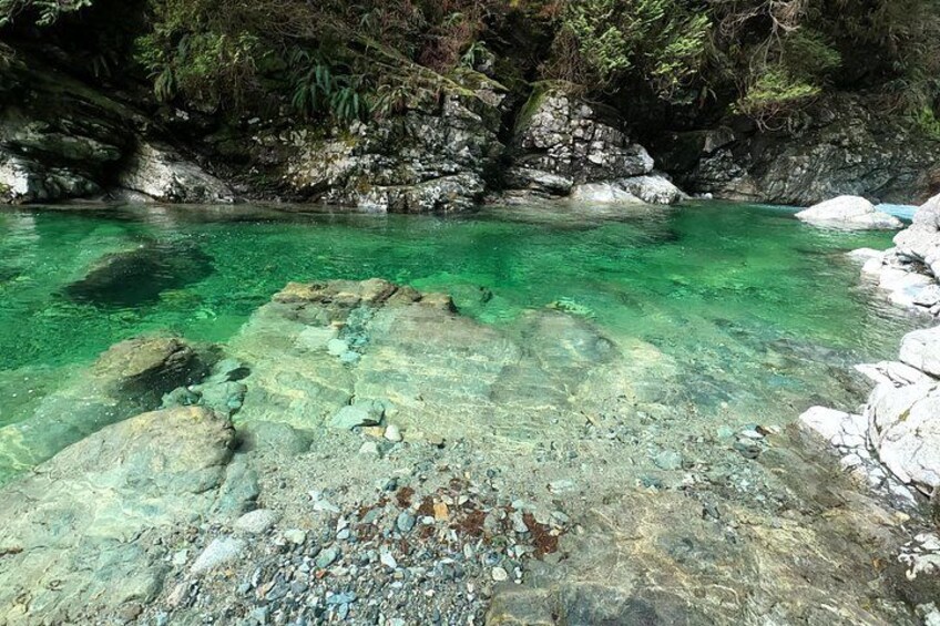 Private Capilano Bridge+Granville Islan+Hatchery+Lynn Canyon Tour 5