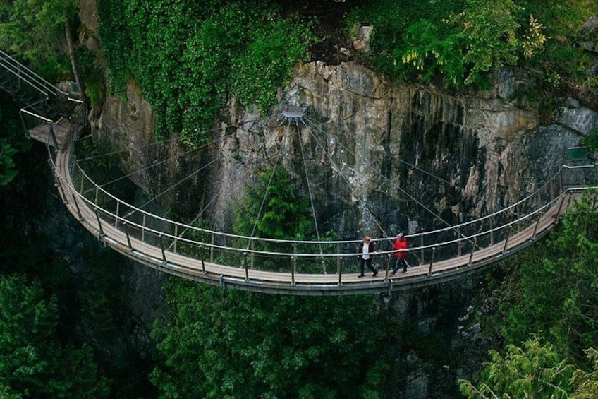 A suspension bridge over a deep gorge surrounded by dense forest. 1
