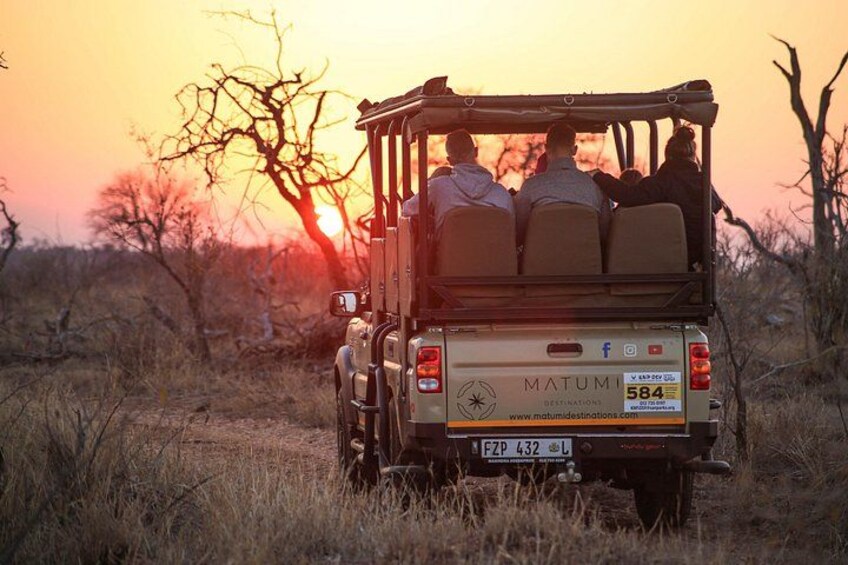 Kruger National Park Full Day Safari (Hoedspruit) 1