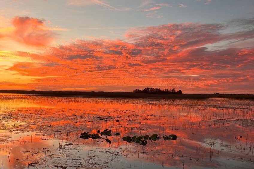 1 Hour Florida Everglades Wildlife Tour 2