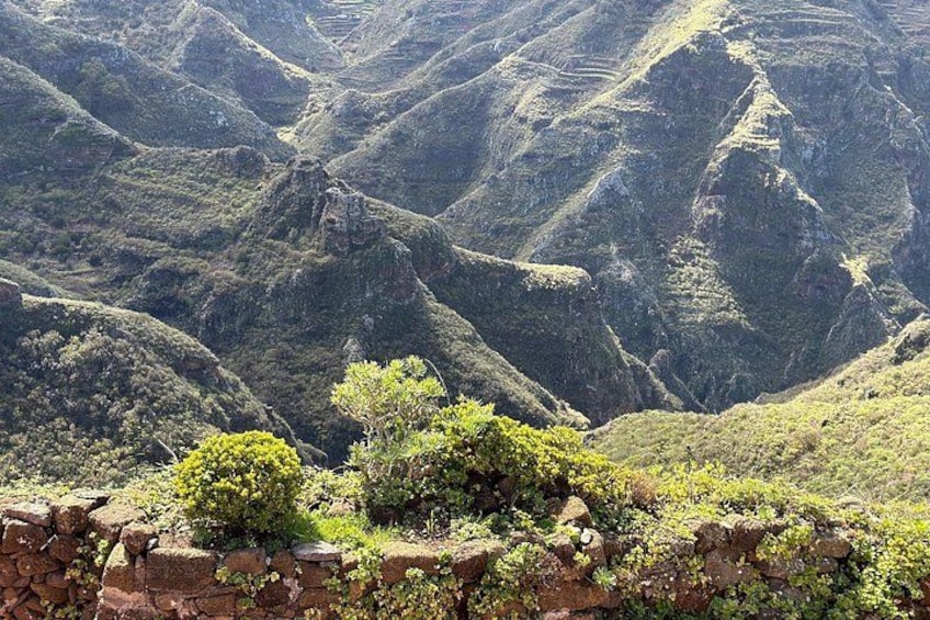 Anaga Hidden Gems Hiking Tour. Free Pick-up. 3
