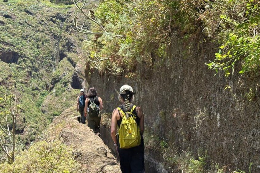 Anaga Hidden Gems Hiking Tour. Free Pick-up. 2
