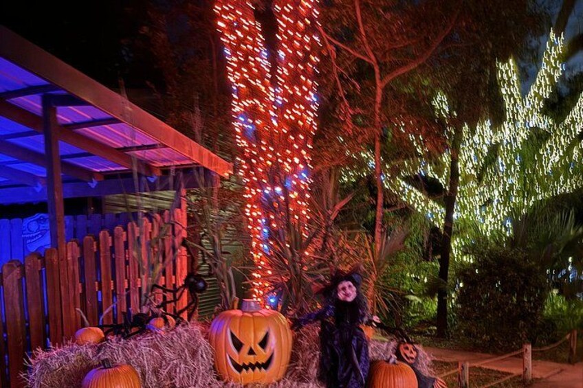 Jurassic Haunt at Dinosaur World 3