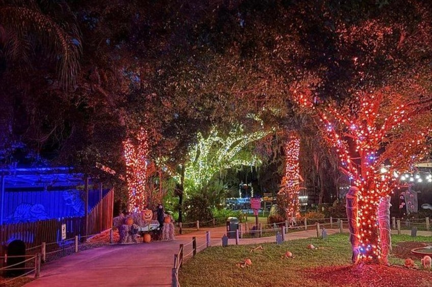 Une scène nocturne avec des arbres illuminés et un sentier. 5