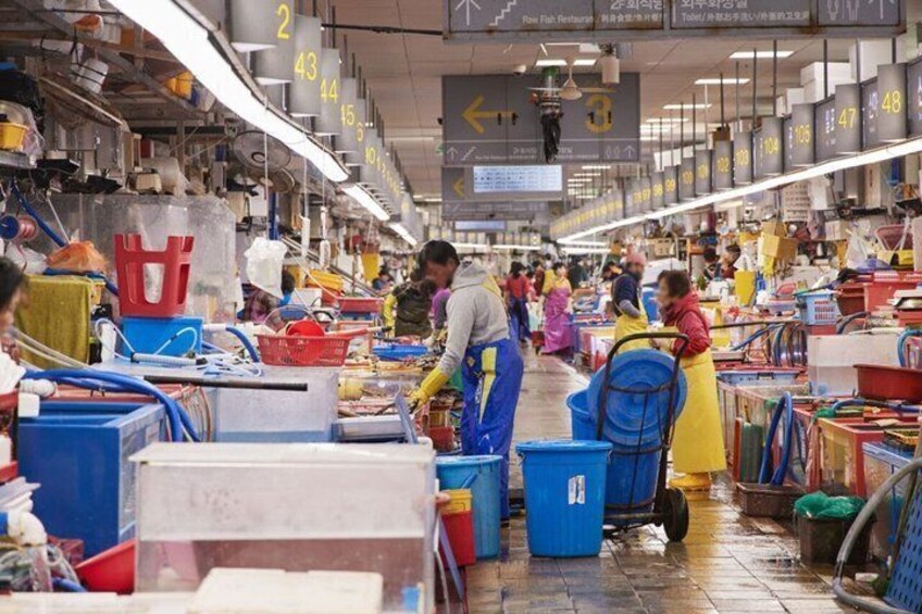 Jagalchi Fish Market 2