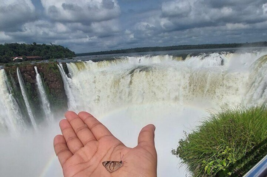 Une main ornée d’un tatouage de papillon, photographiée devant une cascade. 3