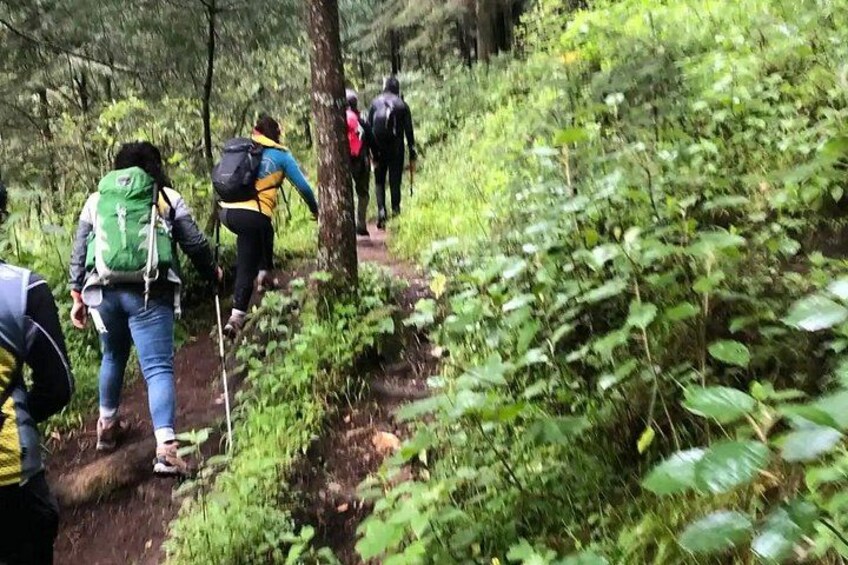 Private Hiking to Chipinique from Monterrey 5