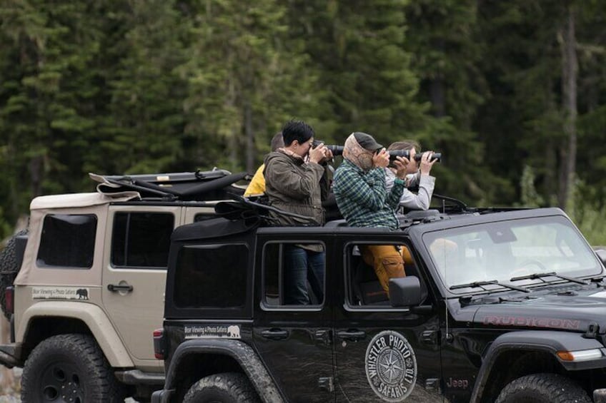 Bear Safari 4x4 Adventure 5