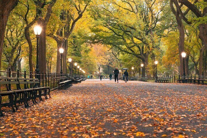 An icon of New York, The Mall and Literary Walk is a grand, tree-lined promenade. 2