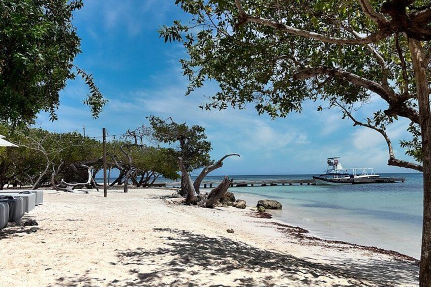 A beach with trees, a boat, and a pier. 5