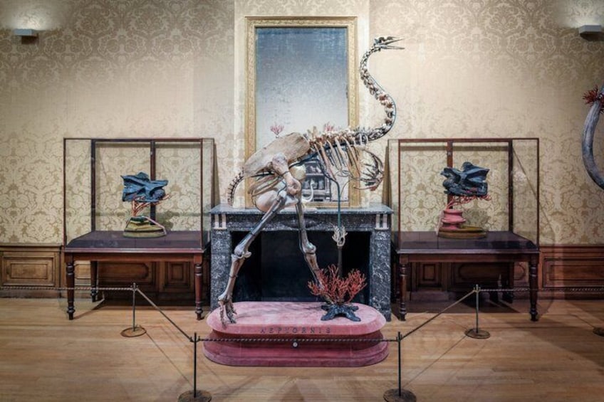 Art Zoo Museum Amsterdam Tickets 4