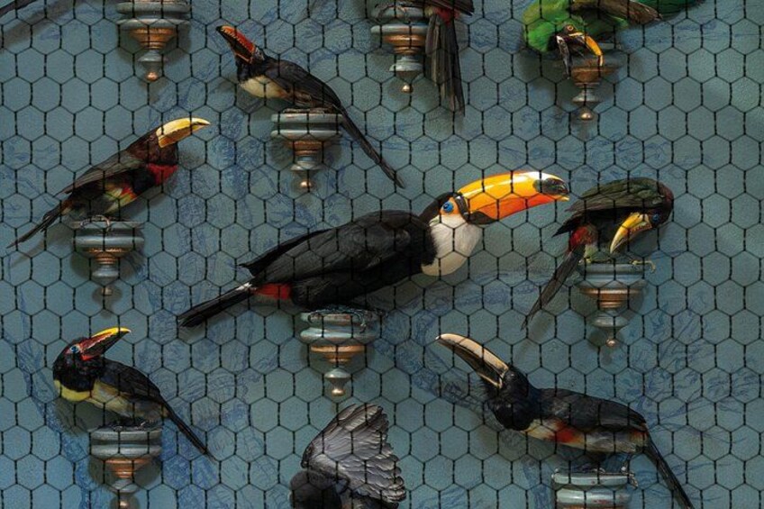 Art Zoo Museum 3