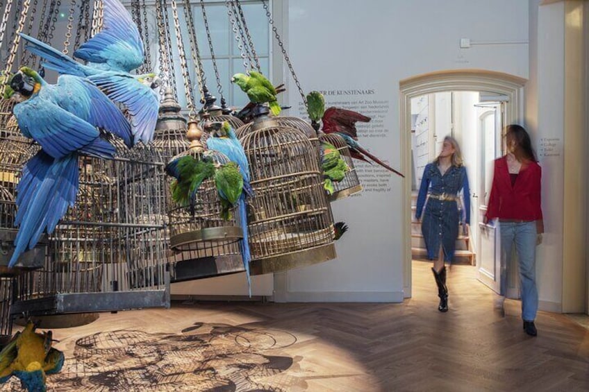 A museum interior with large birdcages and a wooden floor. 1