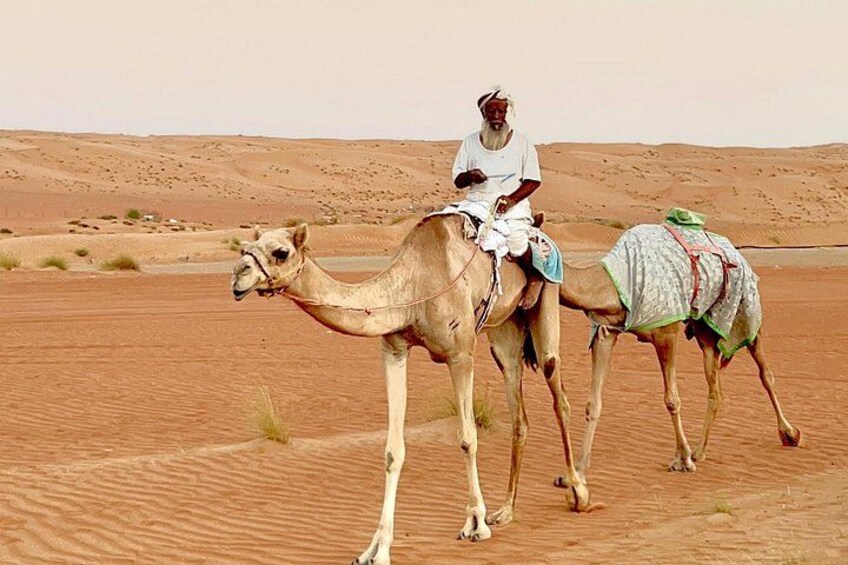 A person riding a camel in a desert with sand dunes in the background. 1