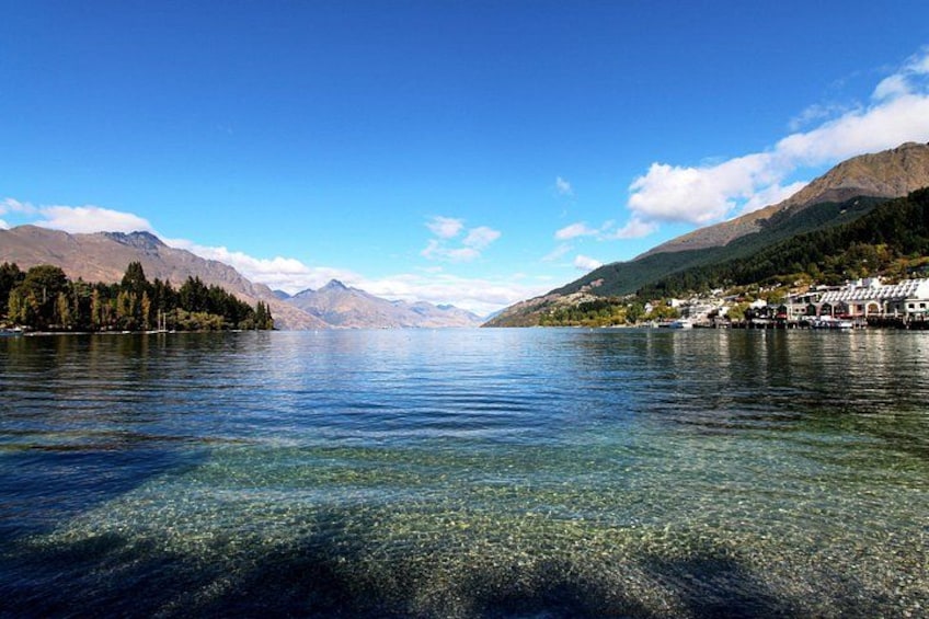5 Day South Island Tour from Queenstown including Stewart Island 2