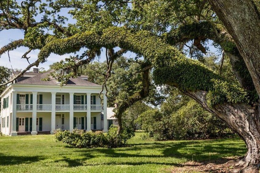 A large white house with green shutters, surrounded by lush greenery and a large tree. 2