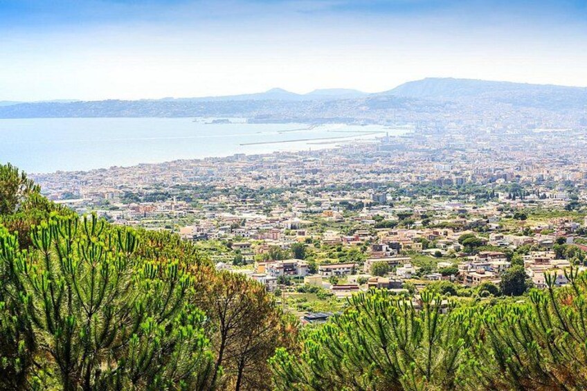 Skip-the-Line Mt Vesuvius Crater Visit from Naples or Pompeii 2