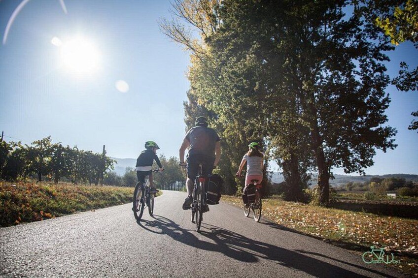Ciclisti su un percorso asfaltato, con alberi e cielo sereno. 4