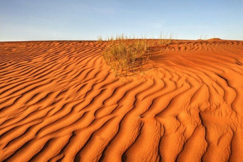 5 Days - 4 nights Private Oman Tour Package 2